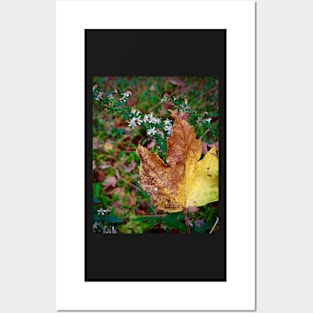 Maple Leaf and Wildflowers Posters and Art